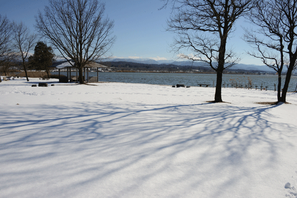 d0000952_22113329.gif