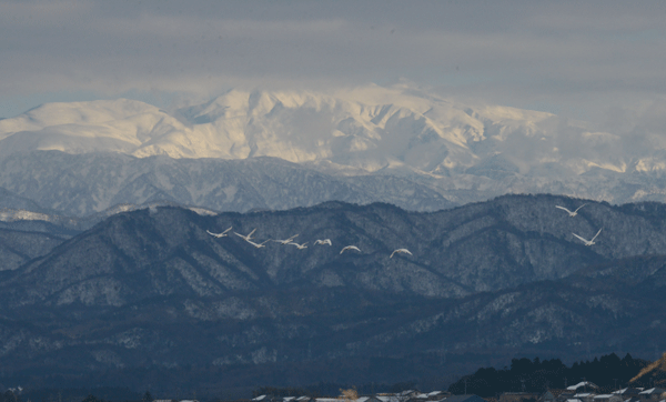 d0000952_2213697.gif