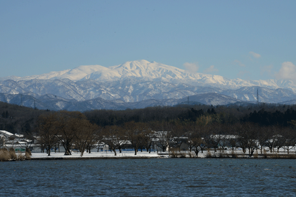d0000952_225383.gif