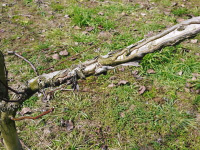 a0254656_18024.jpg