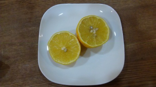 冬ジャム_e0353657_23402536.jpg