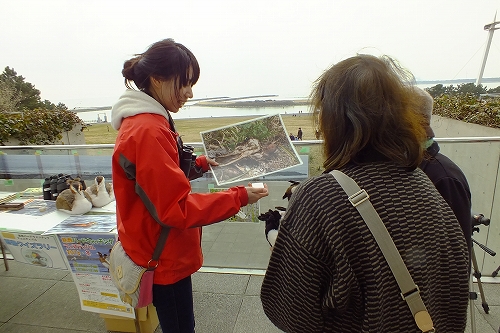 ★冬フェスの報告_e0046474_17343834.jpg