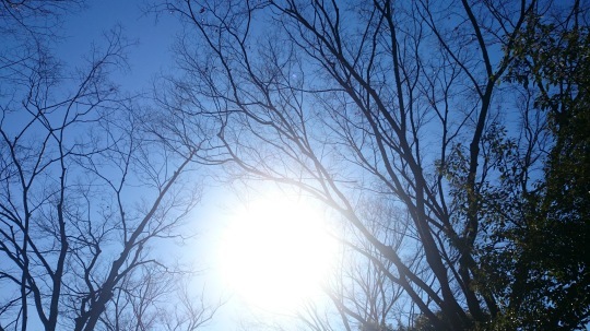b0224776_11212084.jpeg