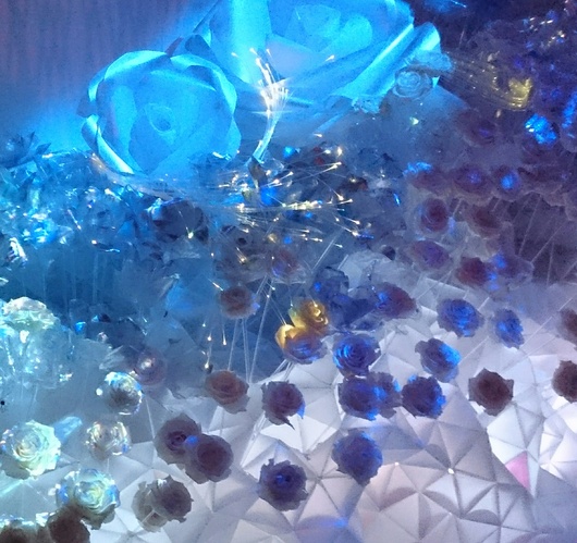 f0193680_14561847.jpg