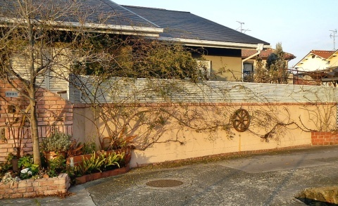 e0154682_23040139.jpg