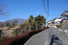 d0183387_15481889.jpg