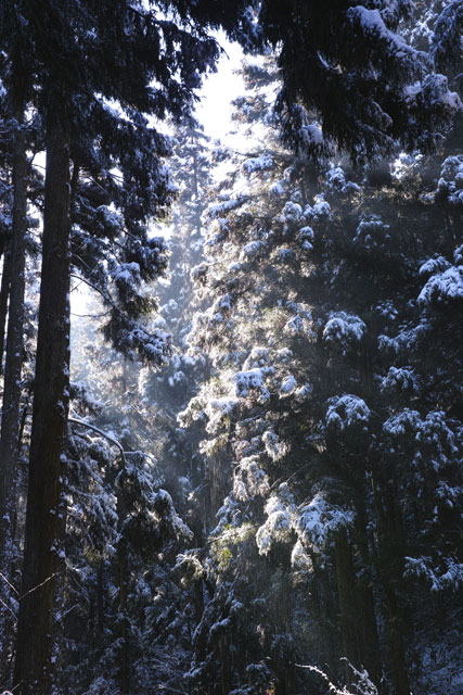 d0021488_10283277.jpg