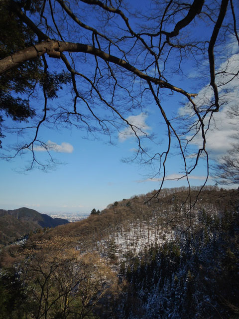 d0021488_112553.jpg
