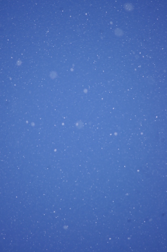 c0337494_15492249.jpg