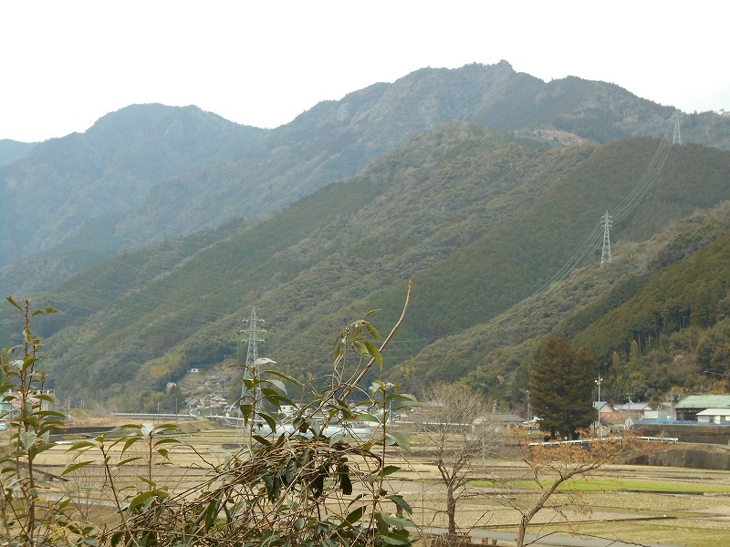 横倉山（1/5）【カブト嶽】（越知町） : 茶凡遊山記