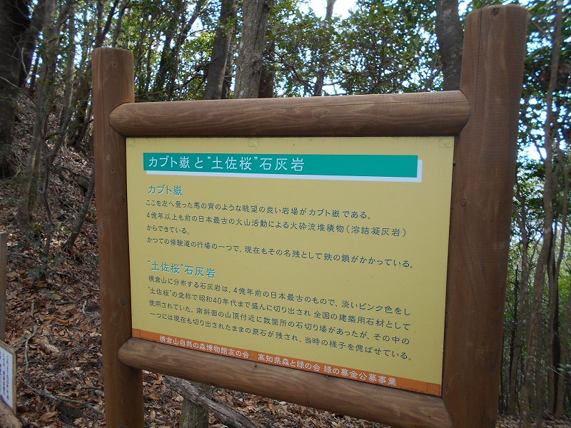 f0308898_16155380.jpg