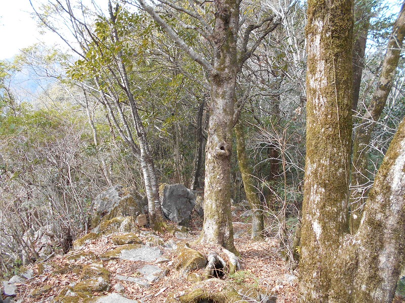 f0308898_16162628.jpg