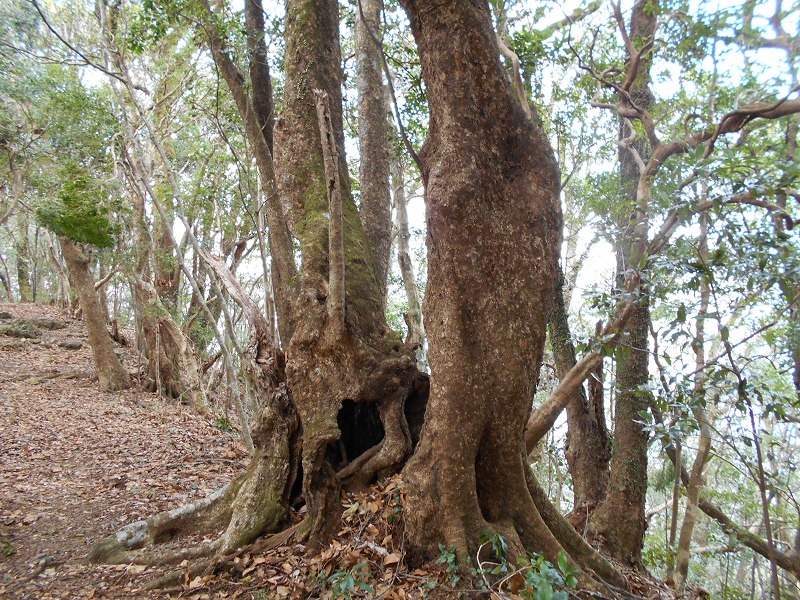 f0308898_1617190.jpg