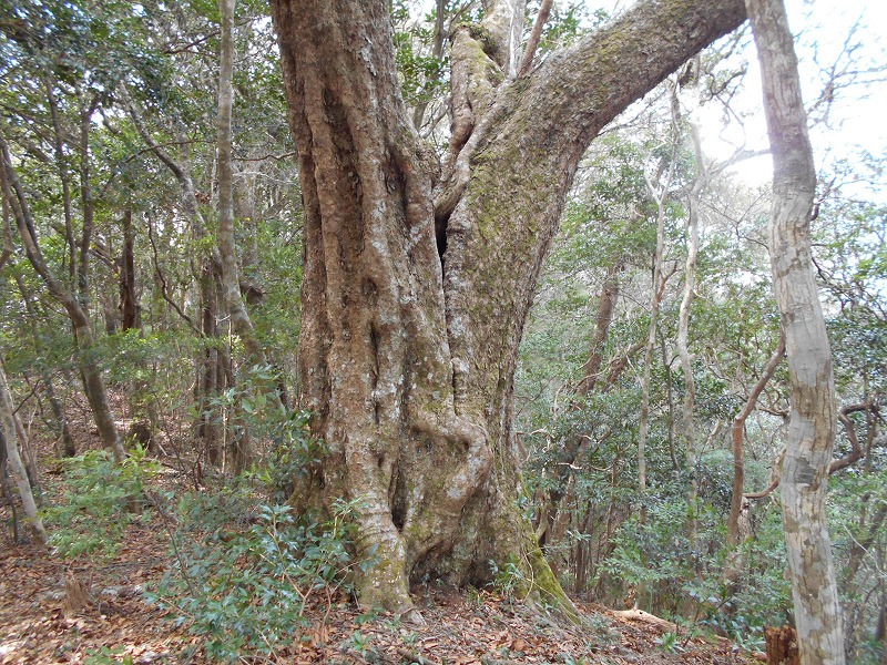 f0308898_16174393.jpg