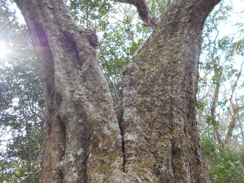 f0308898_16175298.jpg