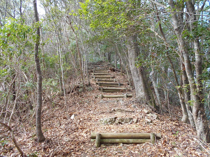f0308898_1617943.jpg
