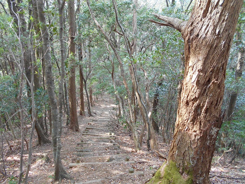 f0308898_16181870.jpg