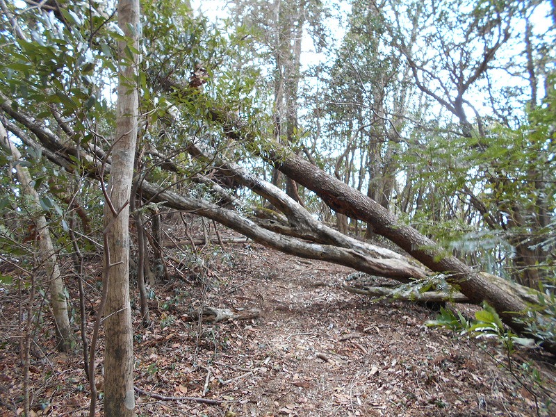 f0308898_16182635.jpg