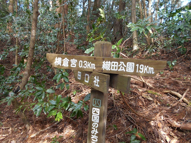 f0308898_16185722.jpg