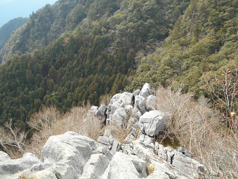 f0308898_1620167.jpg