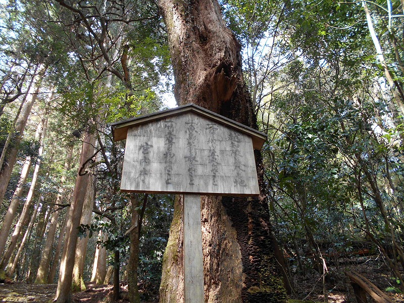 f0308898_1629106.jpg