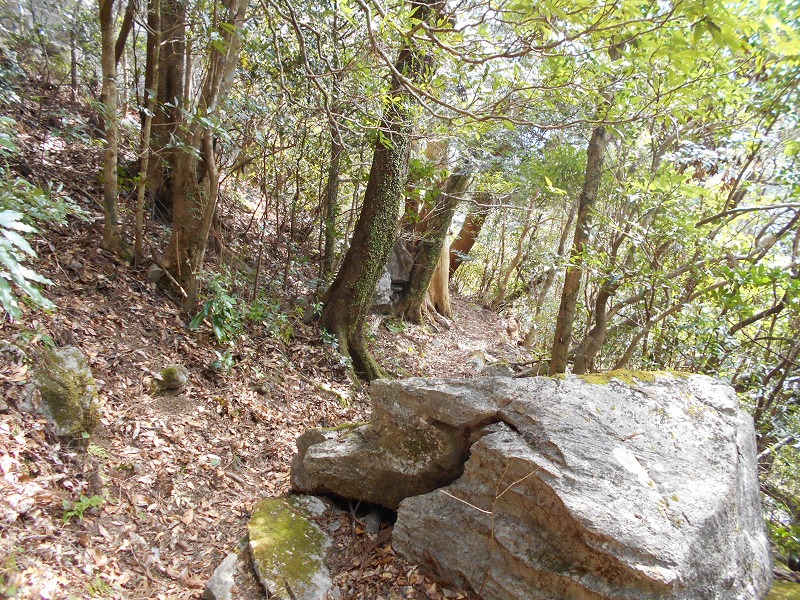 f0308898_1631090.jpg