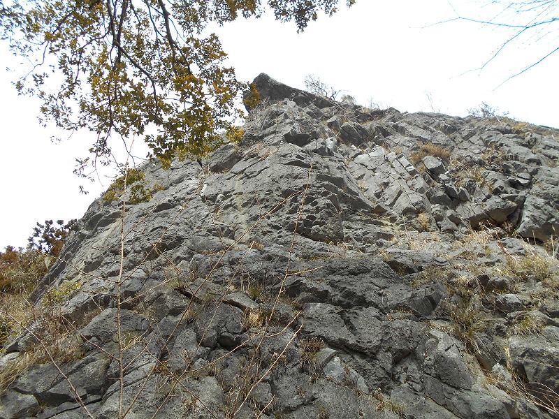 f0308898_16314972.jpg