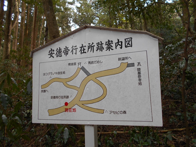 f0308898_1633182.jpg