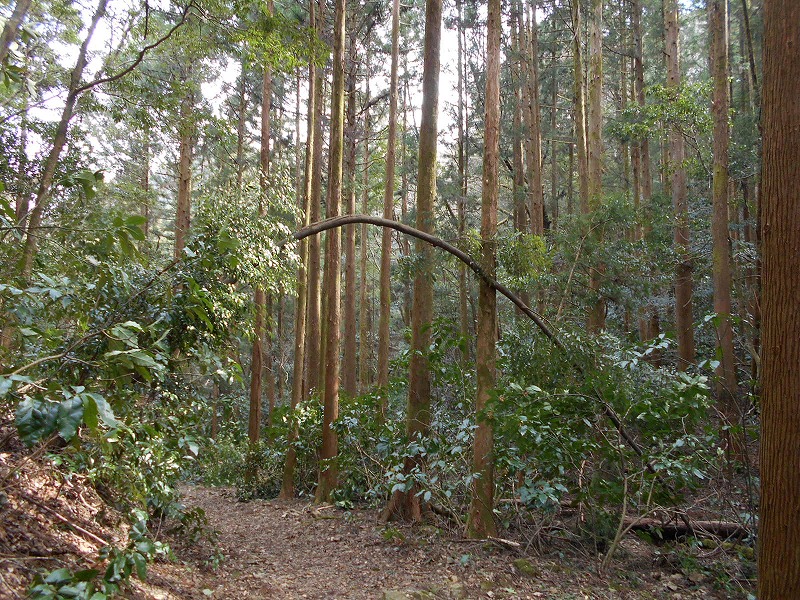 f0308898_16332783.jpg