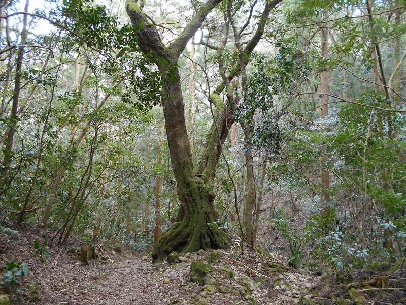 f0308898_16334417.jpg