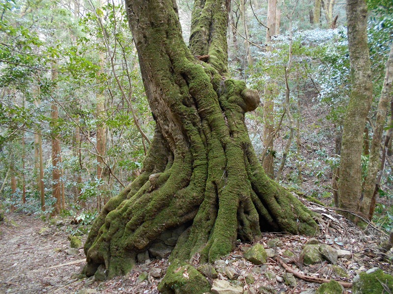 f0308898_1634037.jpg
