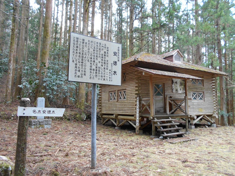 f0308898_16341762.jpg