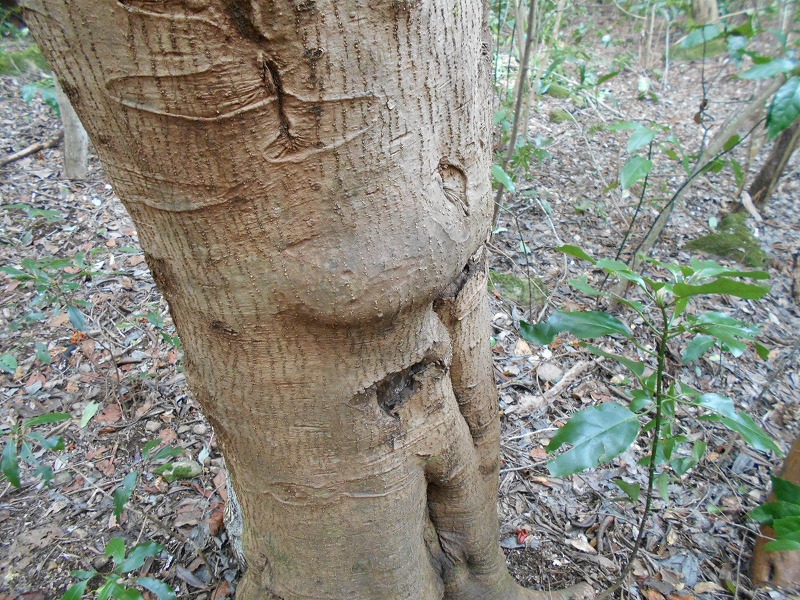 f0308898_16342723.jpg