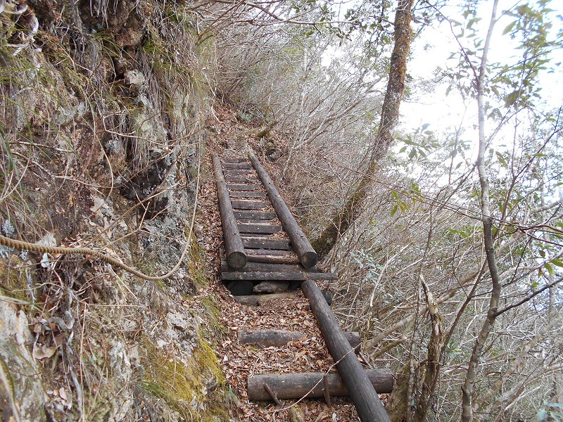 f0308898_16647.jpg