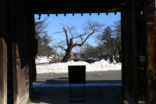 松が岬公園を通って、米沢キャンパスへ　２月８日　（立春・初候）　東風凍りを解く・・・６_c0075701_8481727.jpg