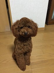 いまだ冬眠中_e0317808_8144491.jpg