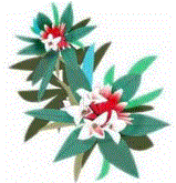 f0231709_1942599.gif