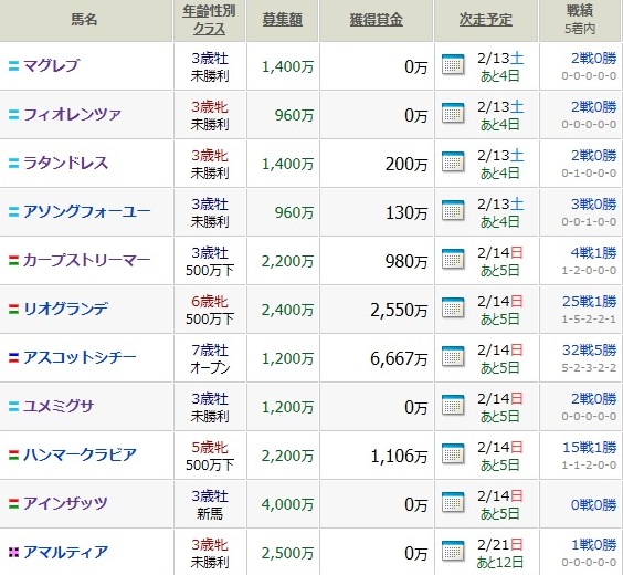 今週は１０頭登録_f0053218_221556.jpg