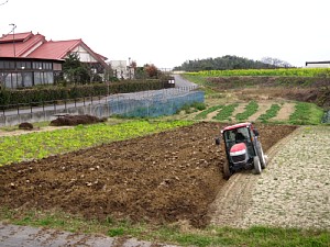 プラウ耕で天地返し : げんきの郷 「体験農園」
