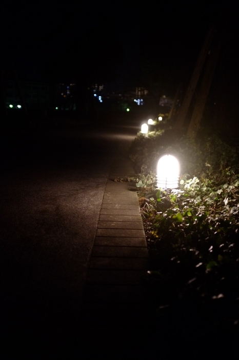 夜の隅田川沿い散歩_e0349124_10371229.jpg