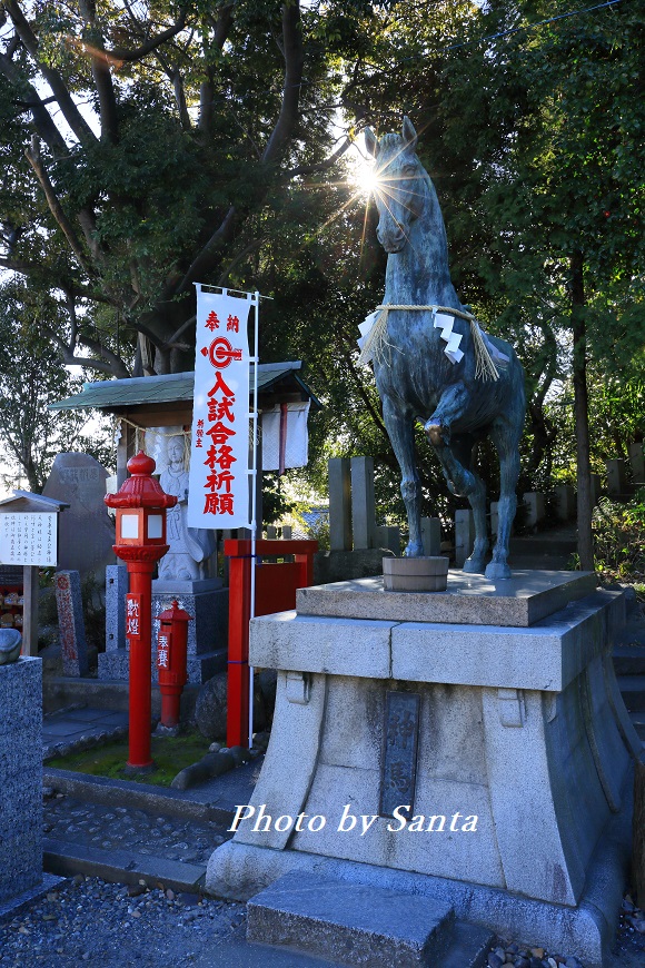 c0201929_7515994.jpg