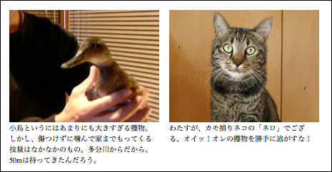 その昔、我家のネロは鴨獲りネコシャンであった。(第356巻)_b0340837_14481569.jpg