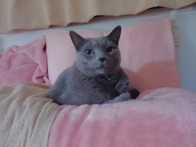 今日の癒し_d0152937_21223594.jpg