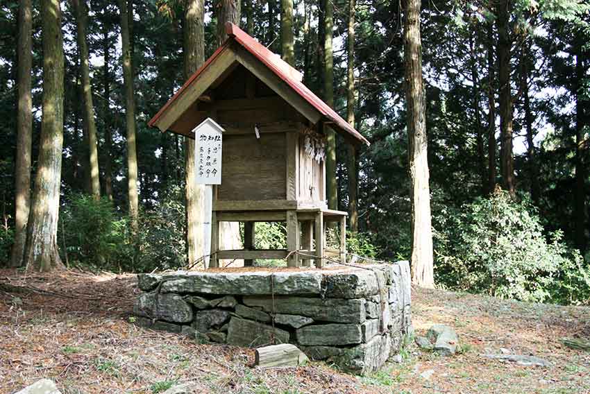 種穂山と種穂忌部神社-2♪_d0058941_2191032.jpg