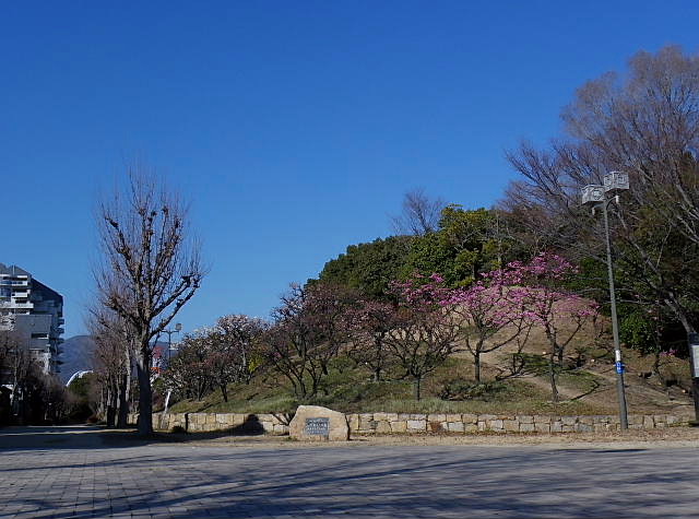 BROTONNE  BRIDGE 号、南高梅、青軸、寒紅梅、枝垂れ梅、夕日_c0051143_23274176.jpg