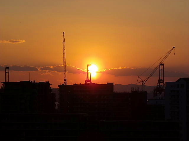 BROTONNE  BRIDGE 号、南高梅、青軸、寒紅梅、枝垂れ梅、夕日_c0051143_23425382.jpg