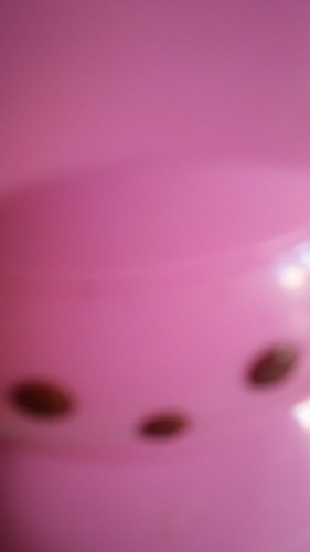 b0305749_14303837.jpg