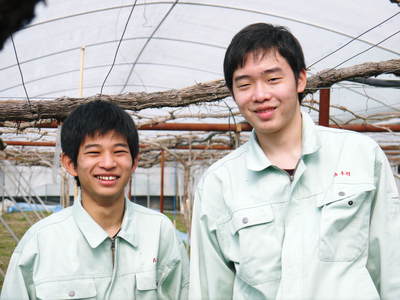 熊本ぶどう 社方園 剪定作業とハウス張り、熊本農業高校からの農業実習(2016)前編_a0254656_1921457.jpg