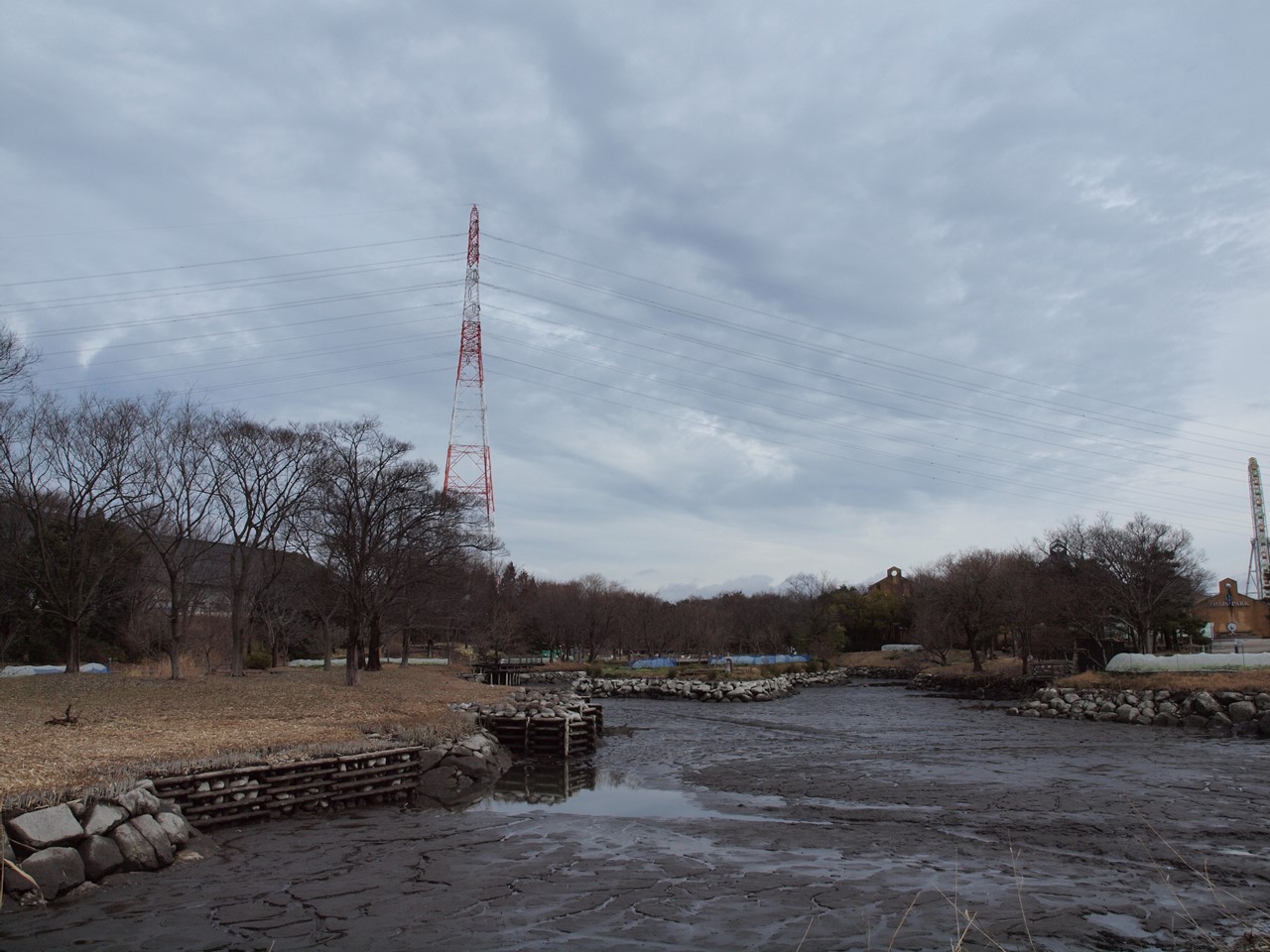 『木曽川水園のメンテナンス風景～』_d0054276_20302778.jpg