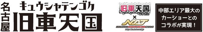 a0300078_14111050.png